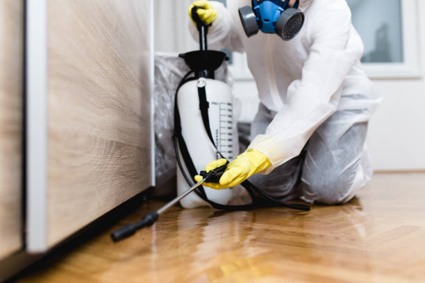 Best Pest Removal Services  in Caro, MI