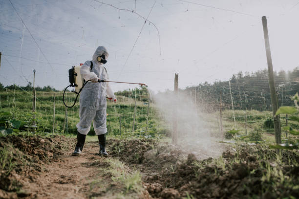 Best Affordable Pest Control Services  in Caro, MI