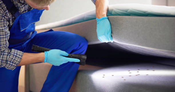 Best Mosquito Control Services  in Caro, MI