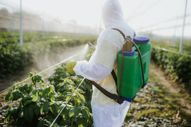 Best Pest Prevention Services  in Caro, MI